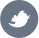 Twitter.com